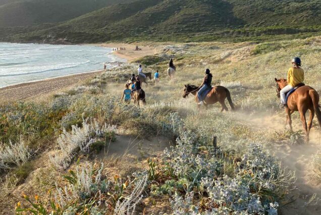 Passeggiata a cavallo tra il Lago Baratz e laSpiaggia di Porto Ferro